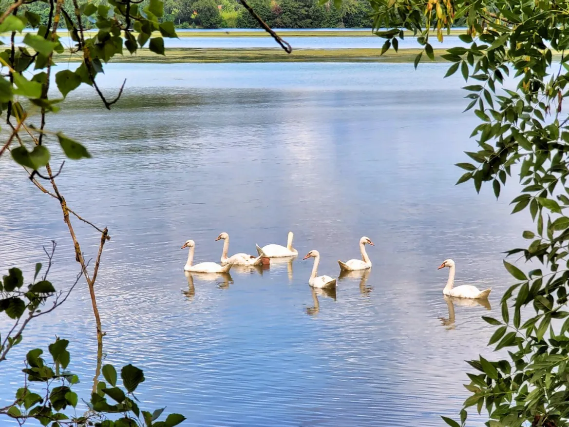 Saint-Nicolas-de-la-Grave Bird Sanctuary