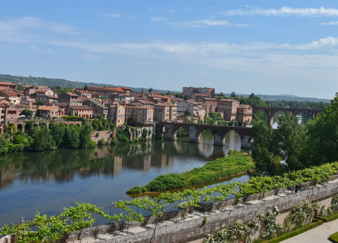 Banks of the Tarn Albi