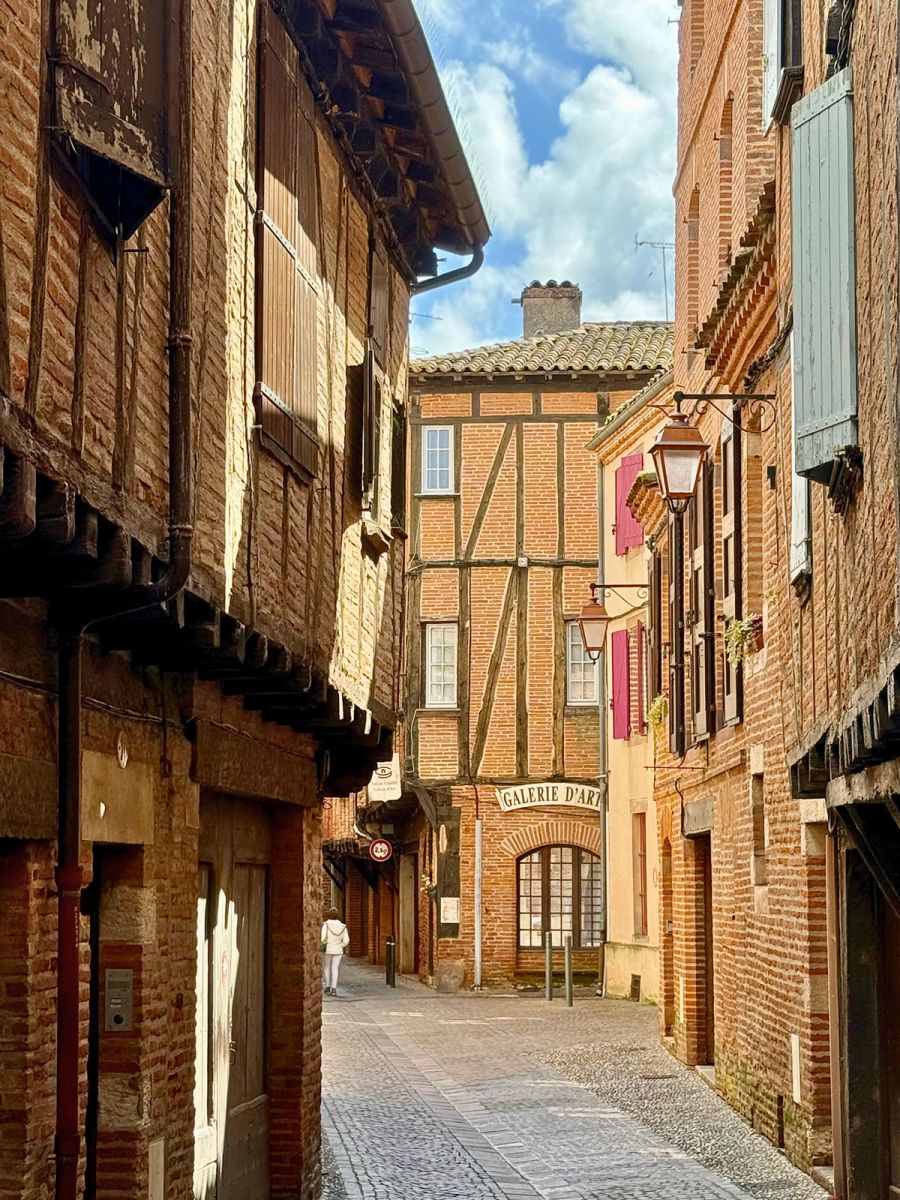 Castelviel district of Albi