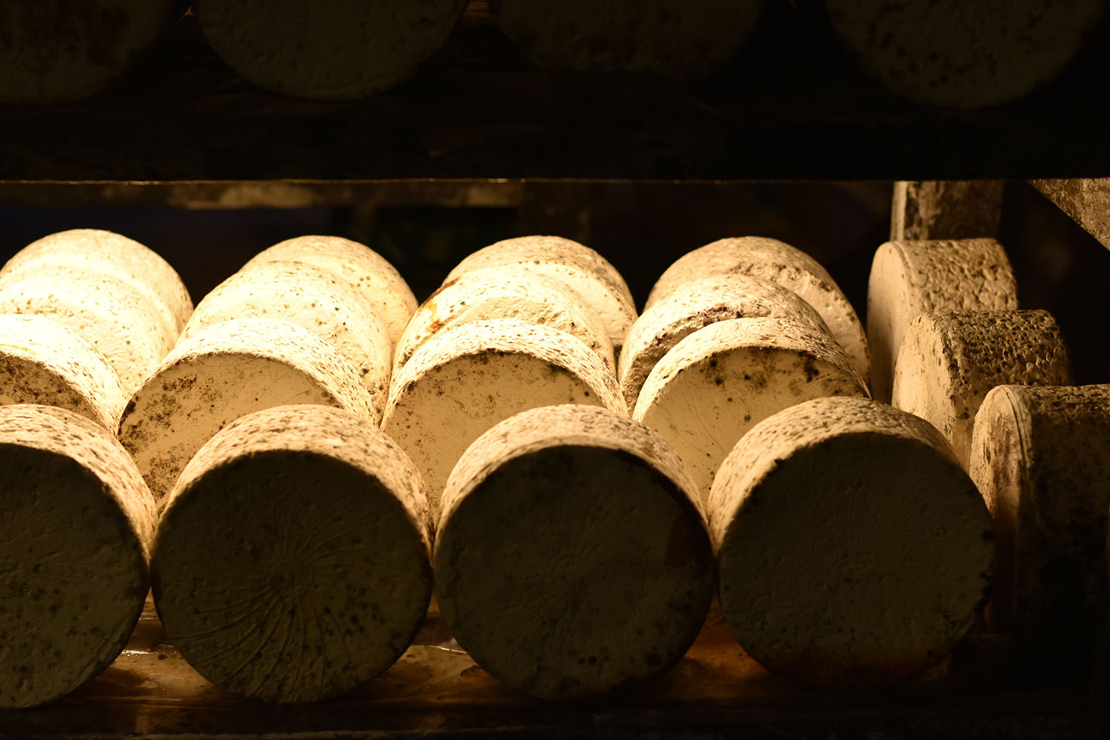 Meule de Roquefort