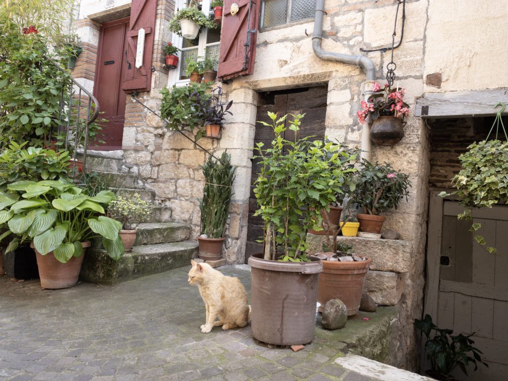 Castelnau-de-Monmiral