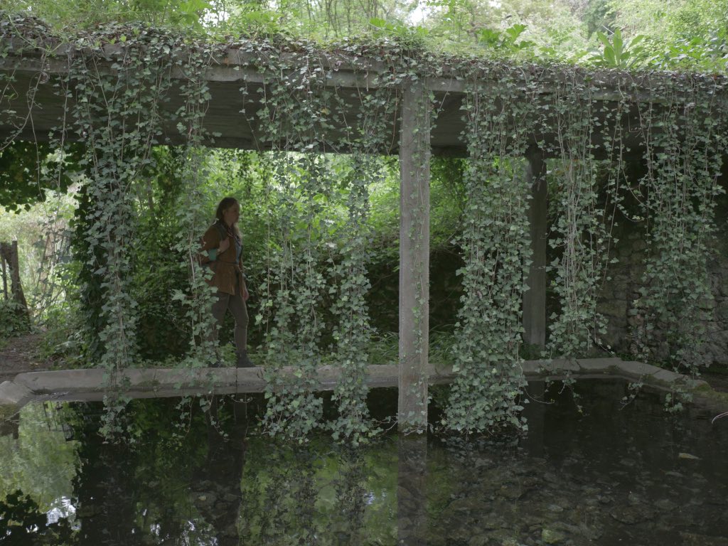 The washing of roquecor
