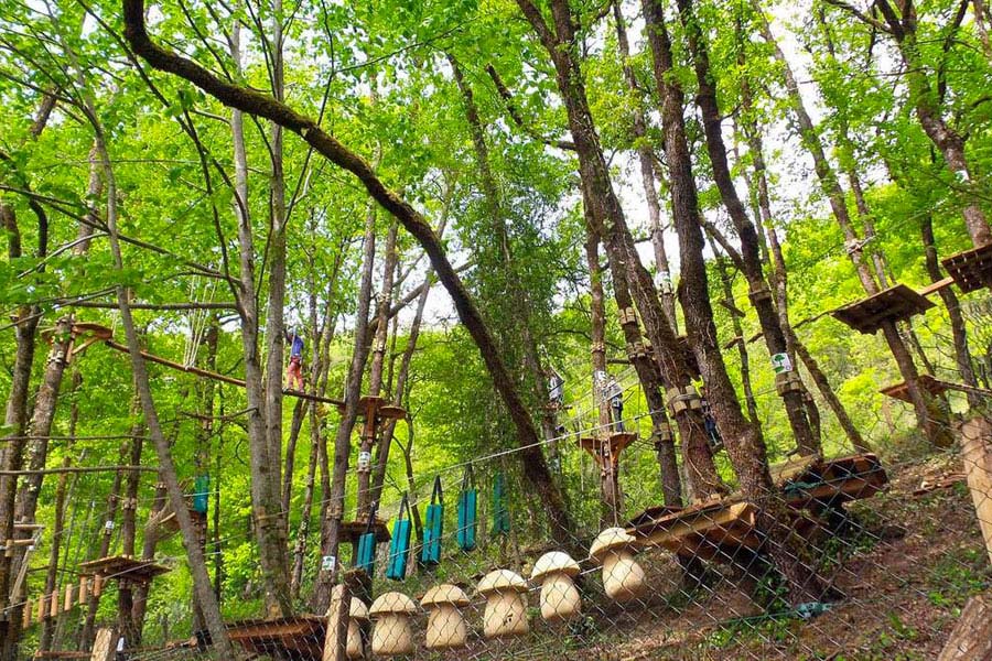 Saint Antonin Adventure Park