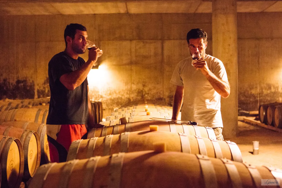 Gaillac wines