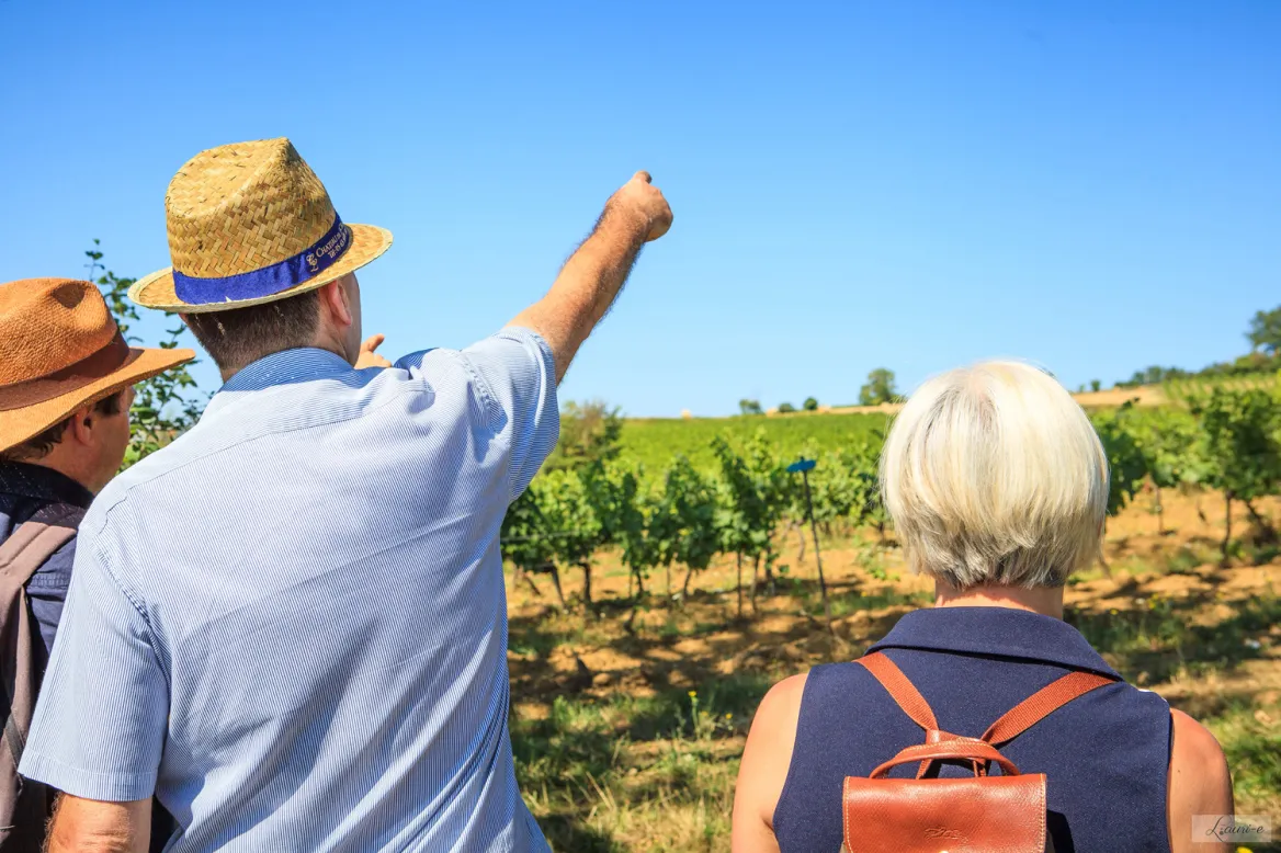 Gaillac winegrowers