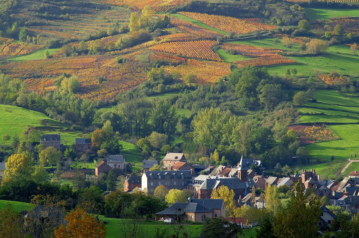 vin de marcillac