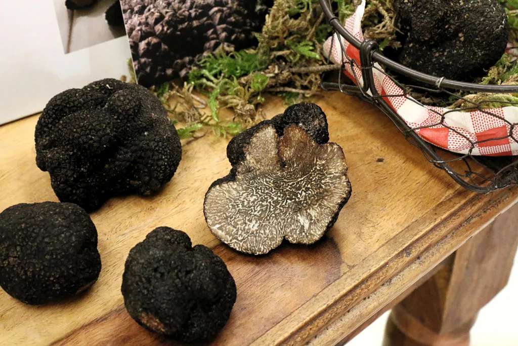 truffe noire
