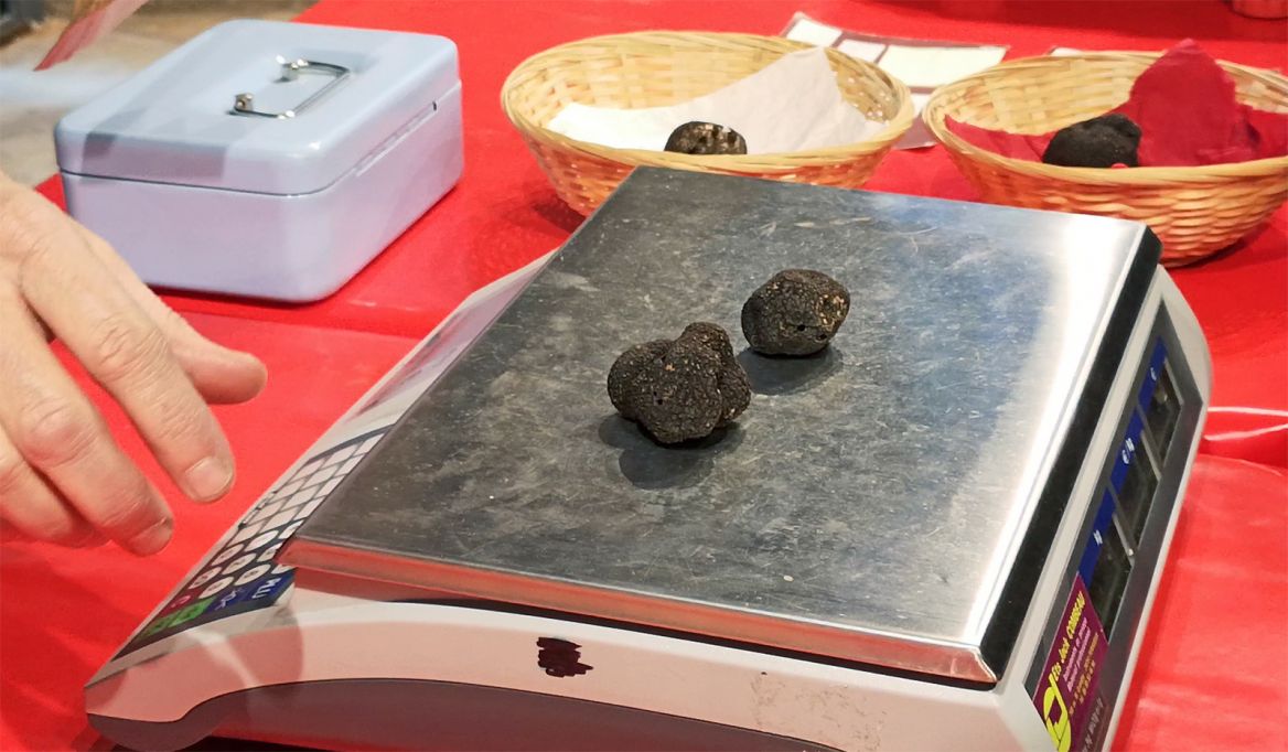 Black Truffle from Quercy