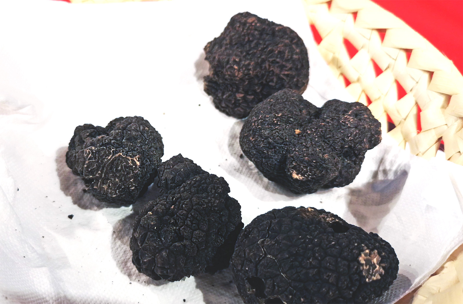 Truffe Noire fraîche de Lalbenque