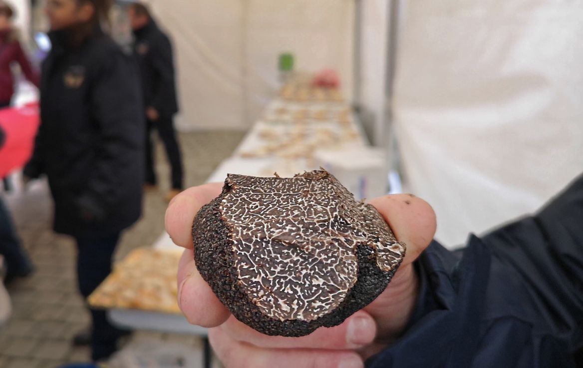 truffle