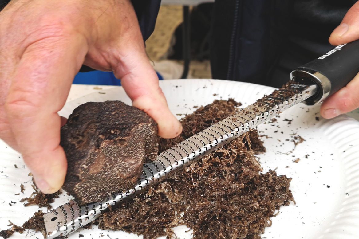 Black Truffle from Quercy