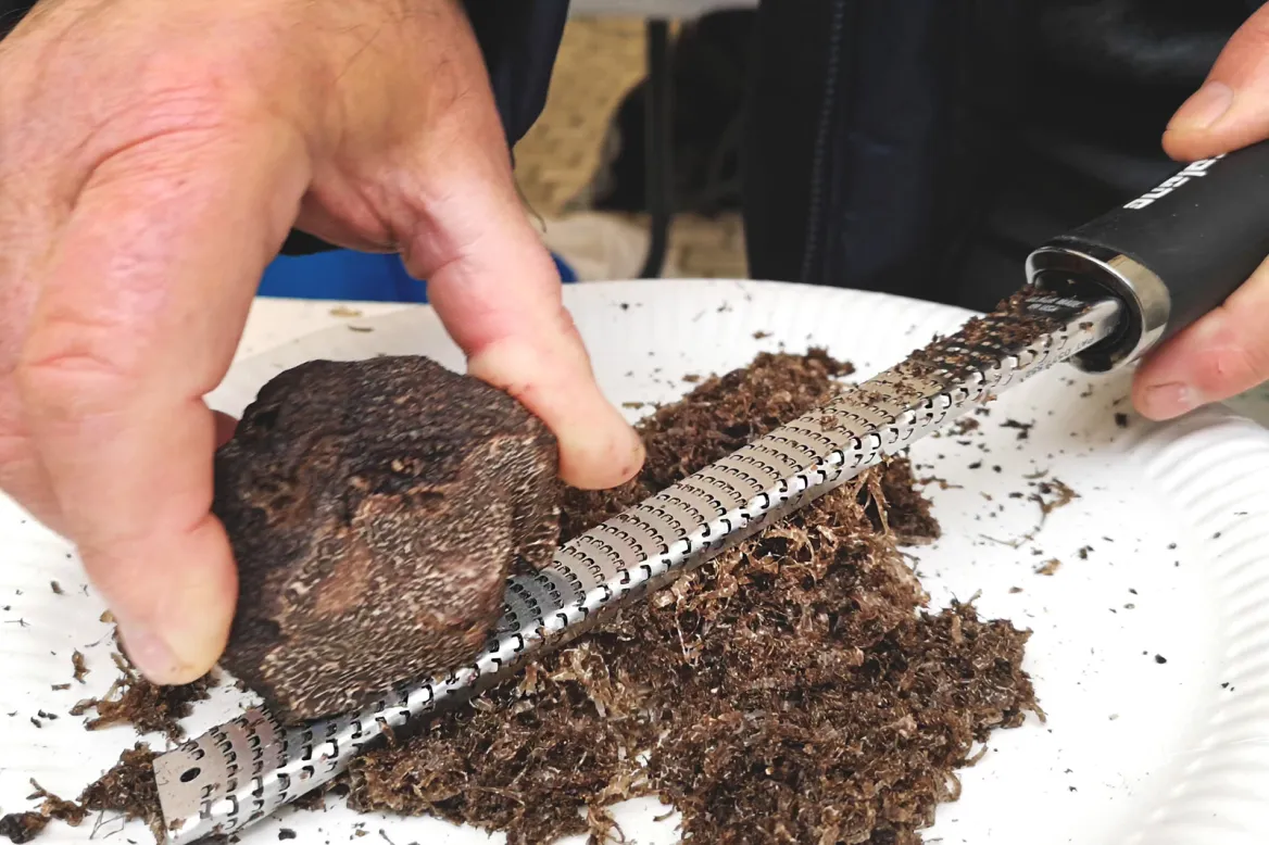 La Truffe noire du Quercy