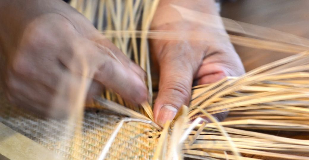 Tarn-et-Garonne expertise