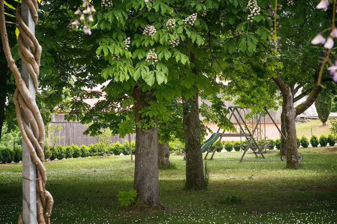maison mistinguette
