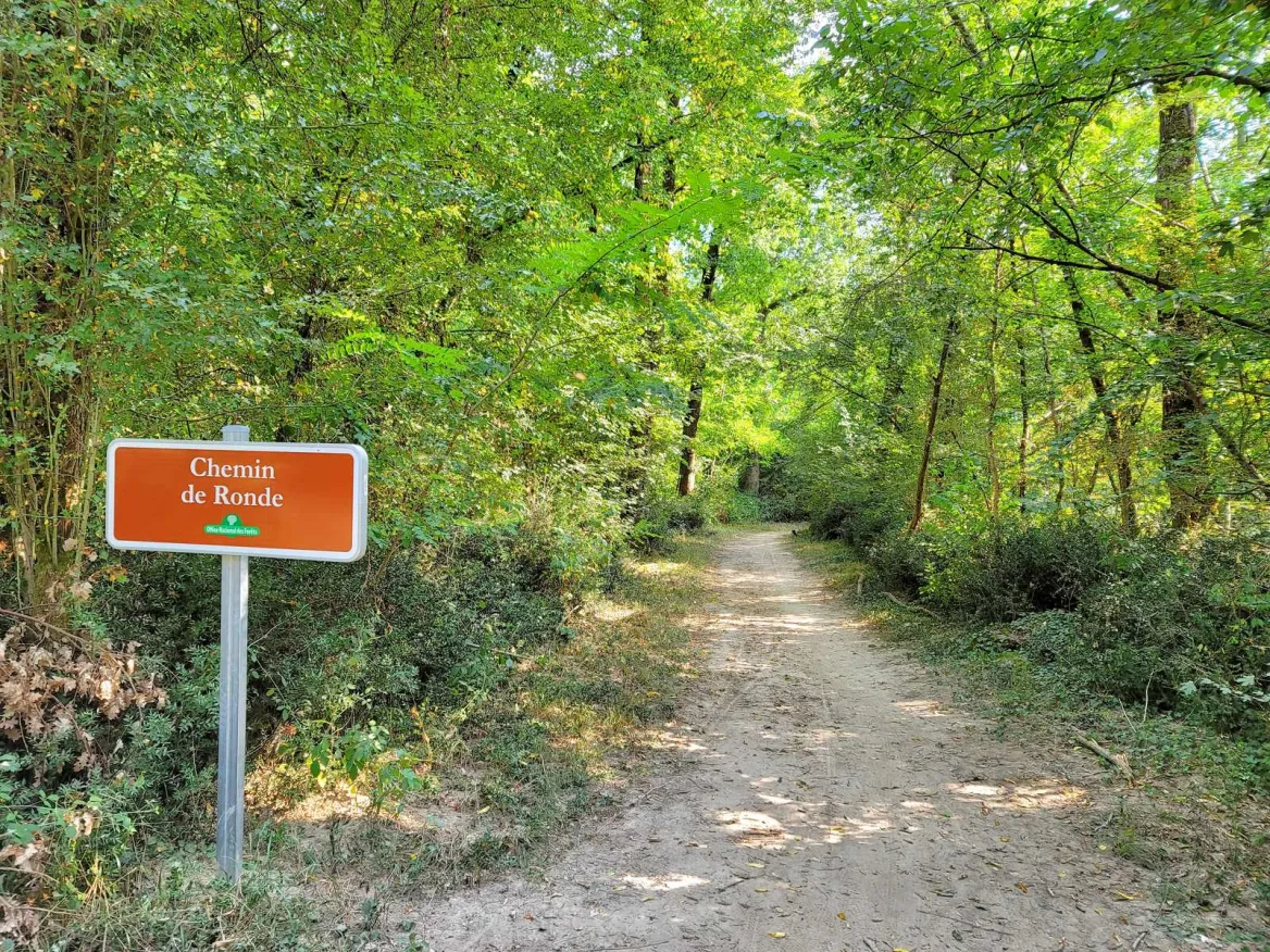 Montech: bike ride along the canal
