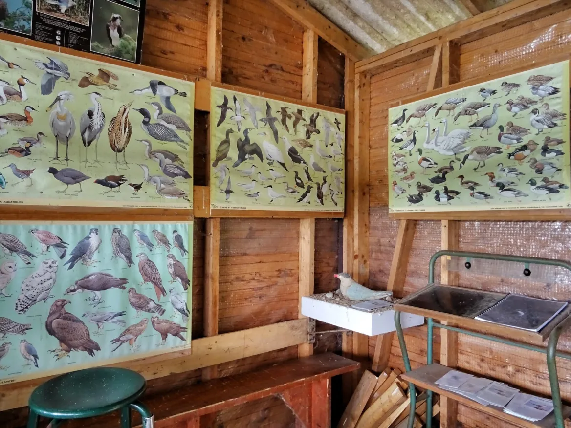 Saint-Nicolas-de-la-Grave: The ornithological reserve of the leisure center