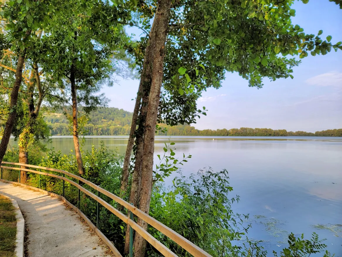 Saint-Nicolas-de-la-Grave: The ornithological reserve of the leisure center