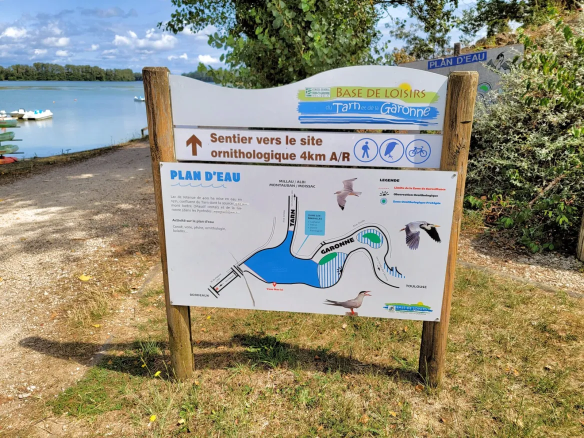 Saint-Nicolas-de-la-Grave: The ornithological reserve of the leisure center
