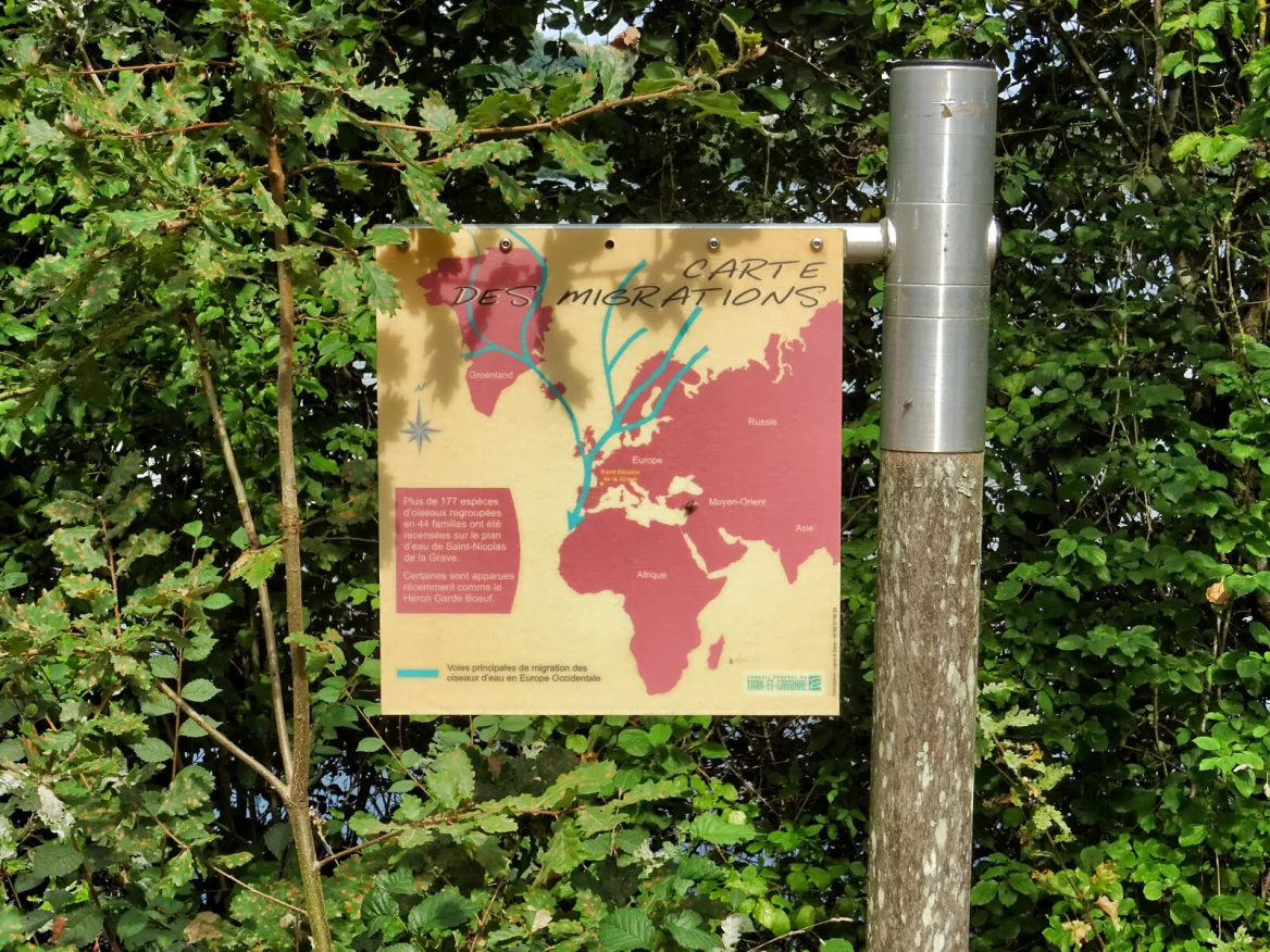 Saint-Nicolas-de-la-Grave: The ornithological reserve of the leisure center