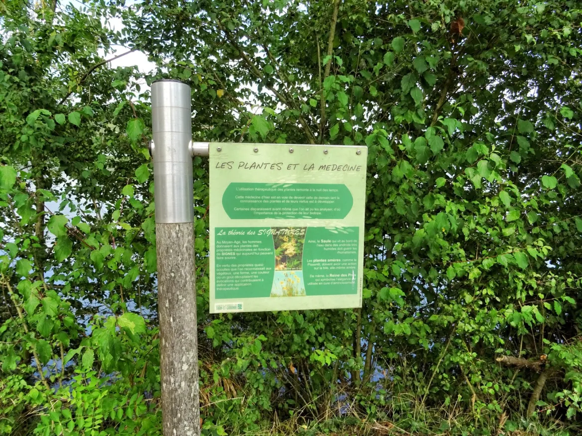 Saint-Nicolas-de-la-Grave: The ornithological reserve of the leisure center