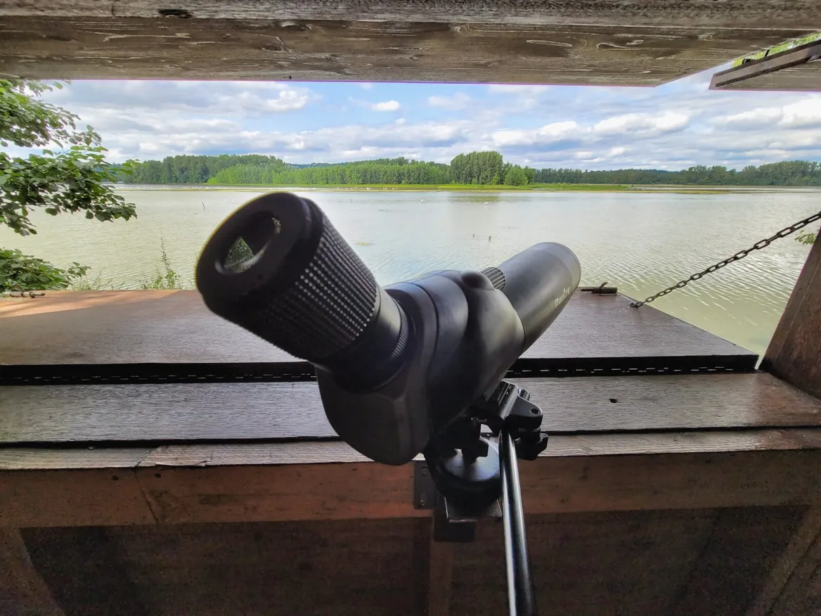 Saint-Nicolas-de-la-Grave: The ornithological reserve of the leisure center