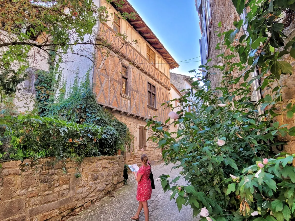 Half-timbered houses