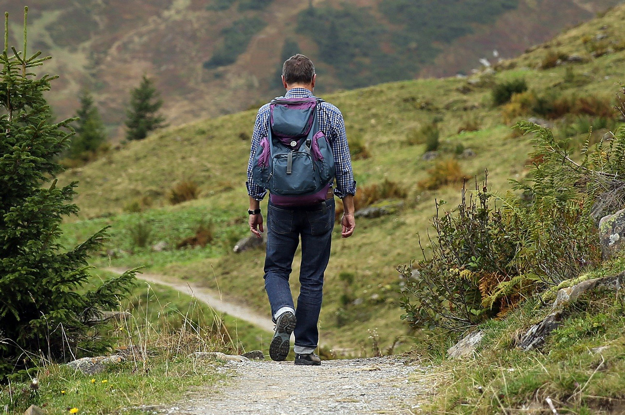 RDV NATURE : DECOUVERTE DE LA BIODIVERSITE