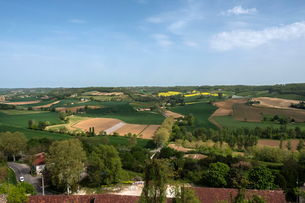 Paysage de cultures de Lauzerte